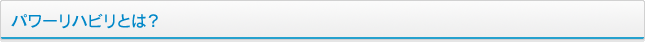 パワーリハビリとは