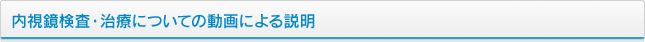内視鏡検査・治療についての動画による説明